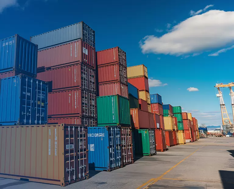 Dédouanement et inspection